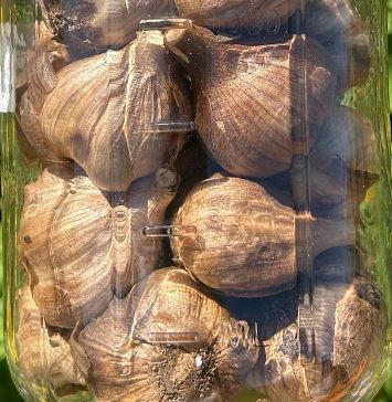 Black Garlic