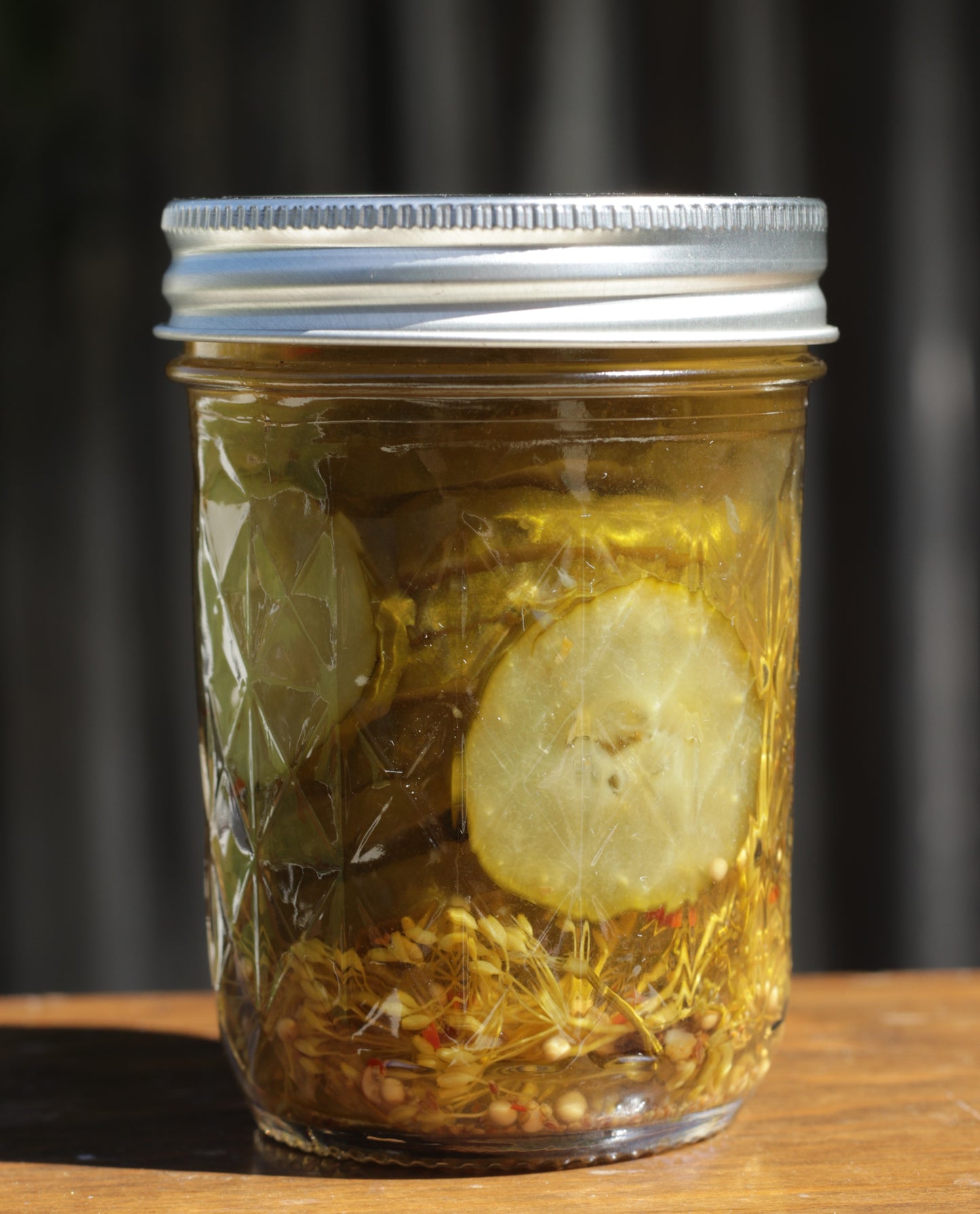 Spicy Dill Pickle Coins