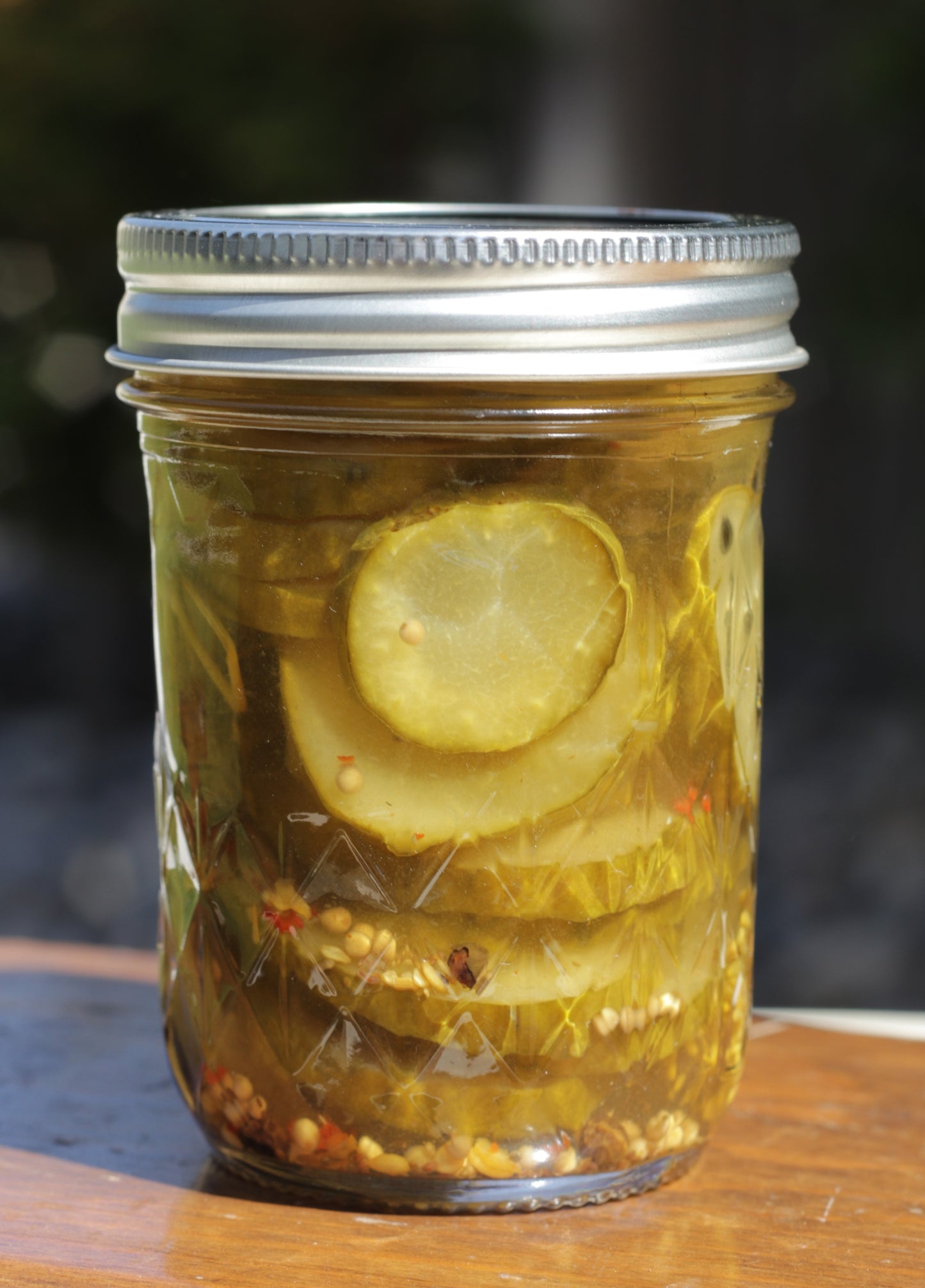 Spicy Dill Pickle Coins